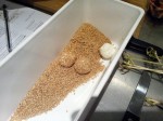 Boulette de chèvre frais dans sésame